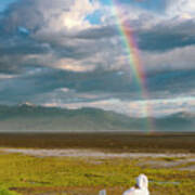 Meditate In Nature Poster