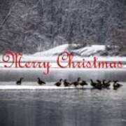 Merry Christmas Canadian Geese Poster