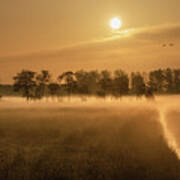 Mist On A Grassland In The Netherlands At Sunrise Poster