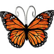 Monarch Butterfly Art On White Poster