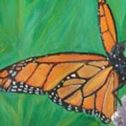 Monarch Butterfly Poster