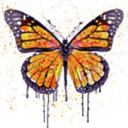 Monarch Butterfly Watercolor Poster