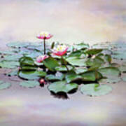 Monet Lilies Poster