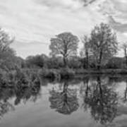 Monochrome Lake In Alkington Woods, Uk Poster