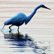 Morning Egret Photograph Poster