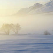 Morning Mist In Lofoten 1 Poster