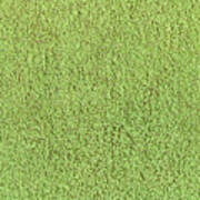 Motel Lime Green Shag Pile Carpet Poster