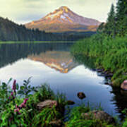 Mt. Hood Reflected In Trilliium Lake Poster