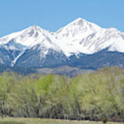 Mt. Yale - Spring Poster