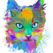 Multicolor Cat 688 Poster