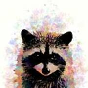 Multicolor Raccoon 27 Poster