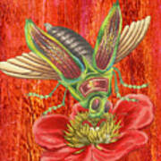 Multicolored Fly On A Red Flower Poster
