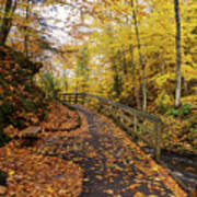 Munising Falls Trail In Autumn Poster