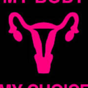 My Body My Choice Reproductive Rights Poster