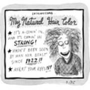 My Natural Hair Color Poster