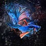 Mysterious Blue Betta Fish Aquatic Portrait Poster