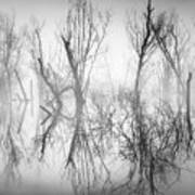 Mystical Lake In Black And White Poster