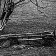 Nelsons Homesteads Wagon B/w Poster