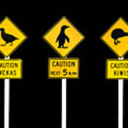 New Zealand Roadsigns Poster
