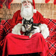 Newt With Santa 2 Poster