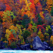 Niagara Colors- Glorious Autumn Leaves On Niagara River Shore Poster
