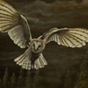 Night Owl, Barn Owl Poster