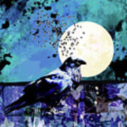 Night Raven Poster