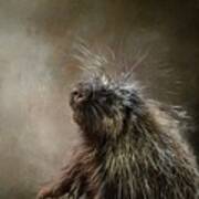 North American Porcupine Poster