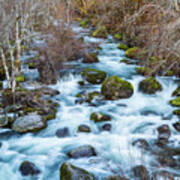 North Fork Middle Fork Willamette River Poster