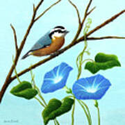 Nuthatch And Morning Glories Poster