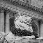 Nypl Patience Lion Bw Poster