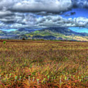 Oahu Hi Dole Pineapple Plantation Little Ones Panorama North Shore Farming Landscape Art Poster