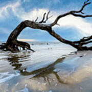 Oak Tree Arbor At Low Tide At Jekyll Island Poster