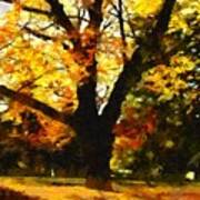 Oak Tree On A Fall Afternoon Poster