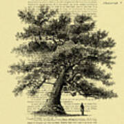 Oak Tree On An Antique French Book Page Poster