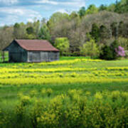 Obannon Woods Barn In Spring - White Cloud - Indiana Poster