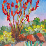 Ocotillo And Brittle Bush - Living Desert Poster
