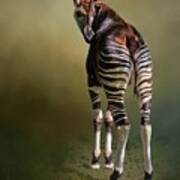 Okapi Poster