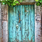 Old Blue Door With Vine Poster