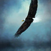 On Wings Like Eagles - Bird Art Poster