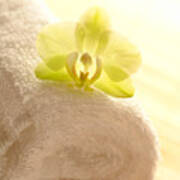 Orchid On Towel Poster