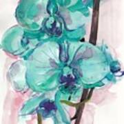 Orchids Poster