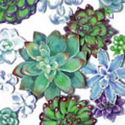 Organic Beautiful Succulent Plants Garden Watercolor Art Decor I Poster