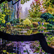 Oscar Claude Monet's Garden Pond Poster