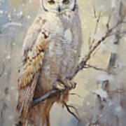 Owl In The Snow Poster