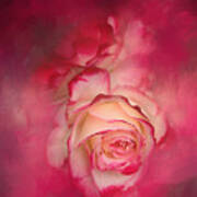 Painted Flamenco Rose Poster