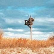Painterly Osprey Nest At The Beach Poster