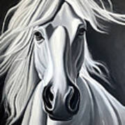 Painting White Horse Paint Carpet Cover  Brush Sp Poster