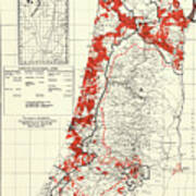 Palestine 1949 Villages And Settlements Poster
