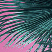 Palm Frond And Pink Sky, Summer On The Beach Poster